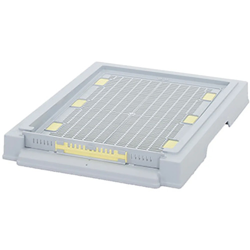 base-de-colmeia-langstroth-ou-datant-us-lyson