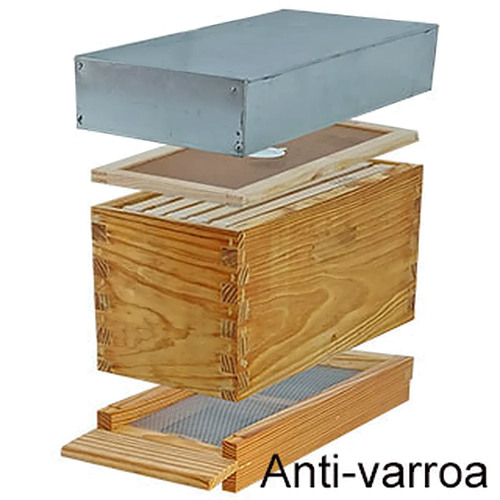 nucleo-langstroth-cintado-com-fundo-sanitario