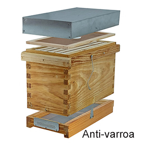 nucleo-dadant-de-saude-da-transumncia