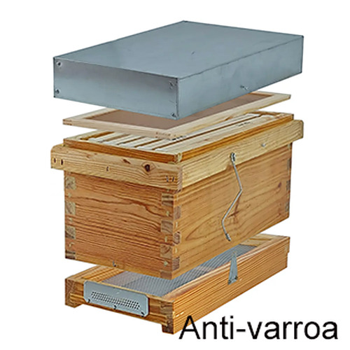 nucleo-langstroth-sanitario-da-transumncia