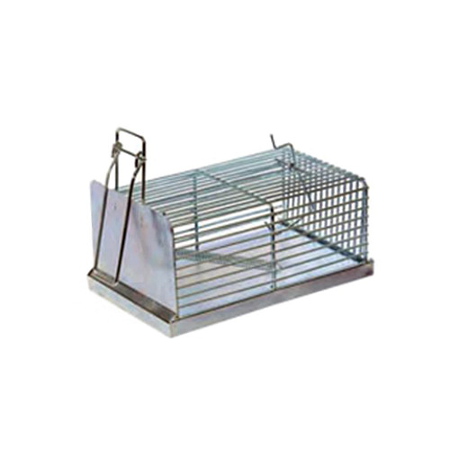 ratoeira-madressilva-e-apiario