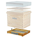 Hive base layens 10 squares.