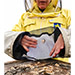 Saco QueenSafe para o manuseamento seguro de rainh - imagen 1
