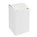 Isothermal cardboard box 10 and 25 grams. - imagen 1
