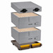 Colmeia Langstroth em plástico modelo 3. - imagen 2