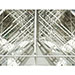 extrator saf® 4 quadros Dadant reversível Kuga - imagen 7