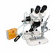 Equipe profissional de inseminação de rainha Schle - imagen 2