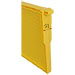 Quadro Langstroth Hoffman ABS amarelo - imagen 6