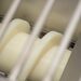 Pressa tappatrice Lyson Premium da 50 kg/h. - imagen 22