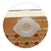 Spare cupularve cap-ud. - imagen 1